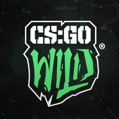 Gage, 26 - Owner & Business Manager of @Wild - Turn ON Notifications & Stay Active! This is my only account, all others are impersonators. #GoWild!