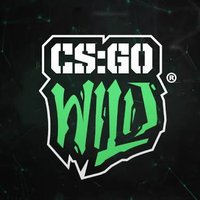 Gage | CSGOWild (@gagecsgo) 's Twitter Profile