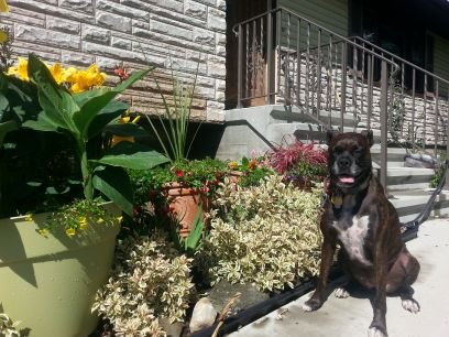 SayBelle731's profile picture. 