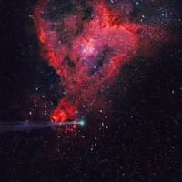 Alli Harfoush (@alliharfoush) Twitter profile photo