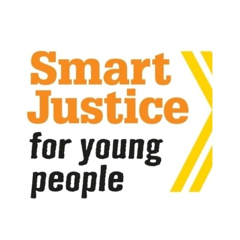 Coalition of youth justice advocates with interest in youth-police relations & diversionary programs. Views those of the coalition, not individual members.