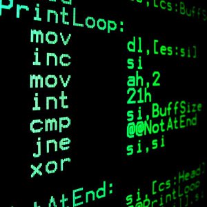 MaxShishkov's profile picture. 