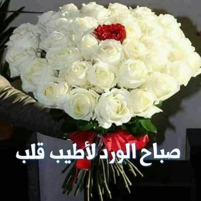 salhmzhr's profile picture. ‏‏‏‏‏‏