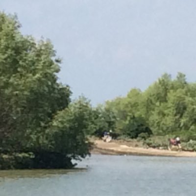 marken Profile