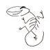 space caiman (@space_caiman) Twitter profile photo space caiman (@space_caiman) Twitter profile photo