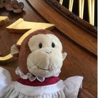 Roy The Organ Monkey (@organ_roy) 's Twitter Profile Photo