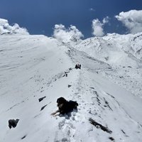 Polash Mukerjee (@mukerjeepolash) 's Twitter Profile