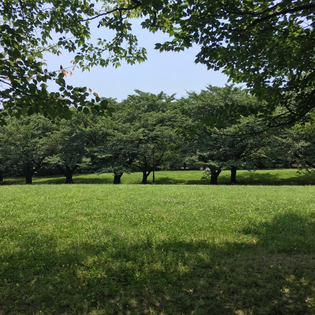 pt2012さんのプロフィール画像