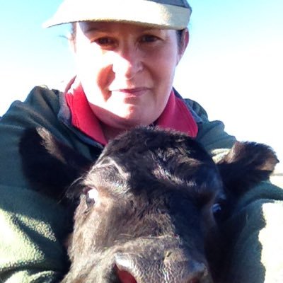 Agricultural specialist with interests in finance, beef cattle and grain production. Special interests in regenerative agriculture. These are my views