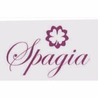 Spagia Foundation(@spagia_f) 's Twitter Profileg