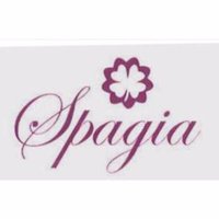 Spagia Foundation (@spagia_f) 's Twitter Profile