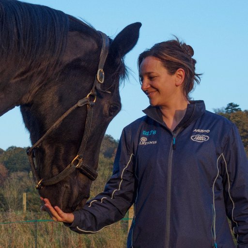 Innovative providers of leadership, team, individual development. We create powerful learning programmes where experiential learning+horses=catalyst for change