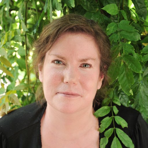 MooijaartR's profile picture. 