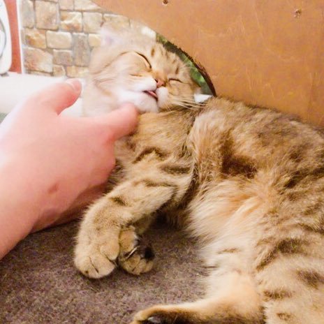 gdDN18fdAysaZzl's profile picture. うぇいうぇい！