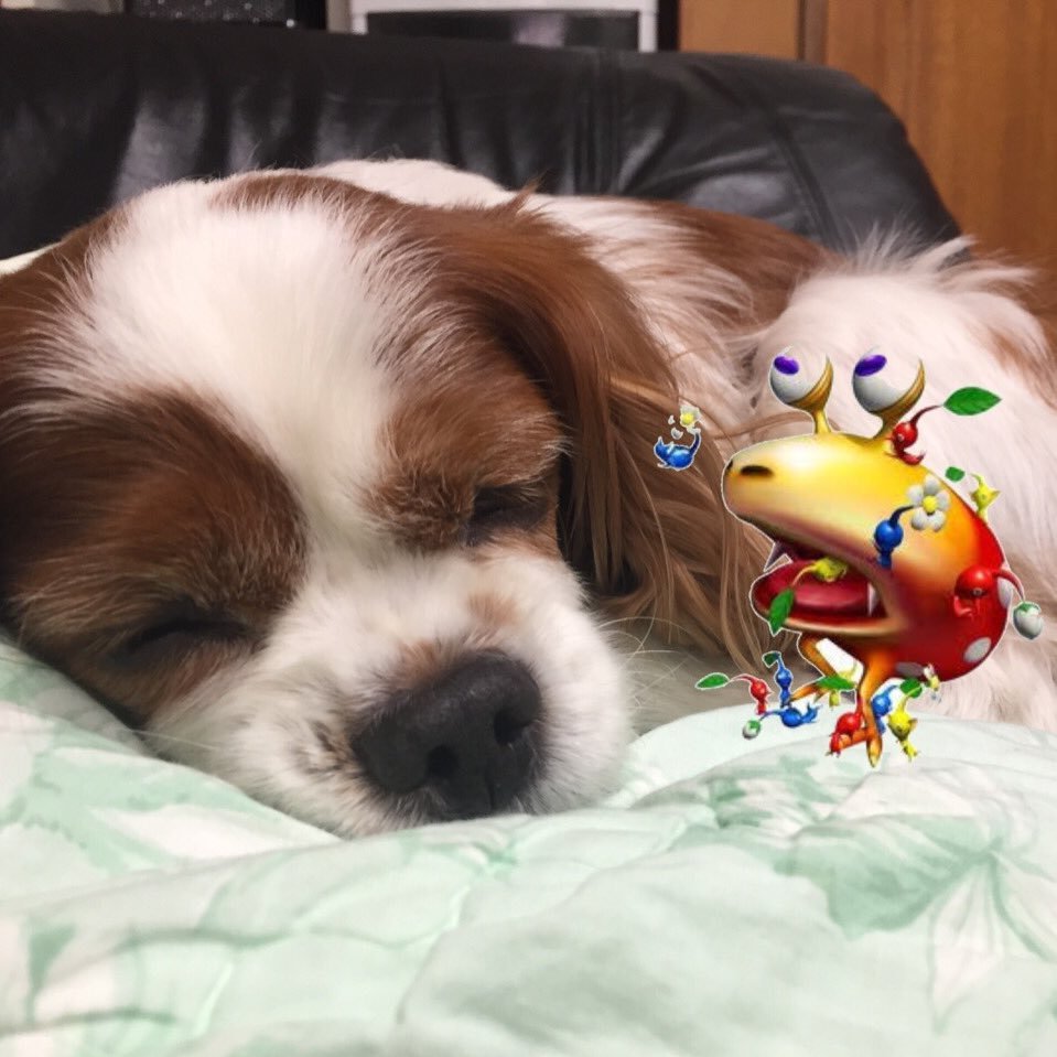 suwakosuwawa's profile picture. rm -rf /* Twitterは… 英語勉強がんばろhttps://t.co/AeXmgxMrEe