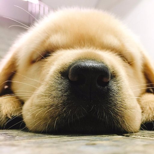 Theo0130's profile picture. 自洽