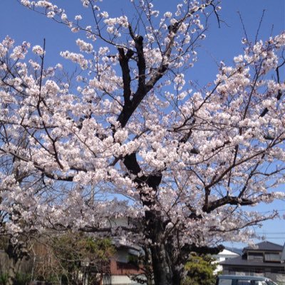 裏垢 博多　アラサーです フッ軽目指してます😎