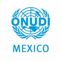 ONUDI - Oficina Regional en México(@ONUDI_Mexico) 's Twitter Profile Photo