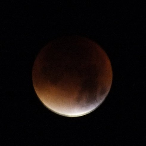 Maizeebell20's profile picture. Maizee!  Stargazing, aspiring geophysicist!  I'm just little me.  Nothing special.