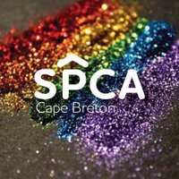 Cape Breton SPCA(@CapeBretonSPCA) 's Twitter Profileg