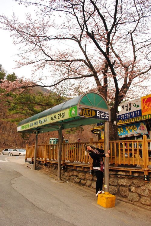 suchachi's profile picture. 