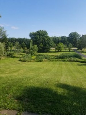 mommaLescook's profile picture. Student Success Coordinator Lake Erie International High School 
Realtor E&D Realty and Investment Company, Inc