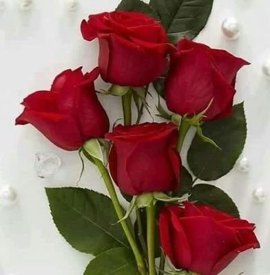 iuvEvpmSPVLoA9m's profile picture. 