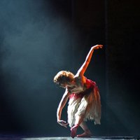 💙 Julie Green (@julieg6169) 's Twitter Profile