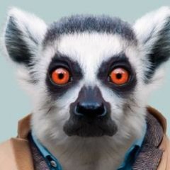 Geopolitics. Public policy. Healthcare. Human rights. Animal welfare. Environmental protections. Wife. Agnostic. Cat butler. Avatar from Zoo Portraits.