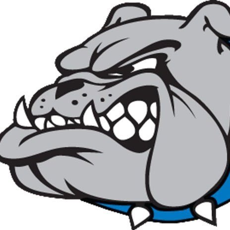 Home of the Bulldogs, Wortham ISD is a 2A school district with three campuses: High School, Middle School, & Elementary School.