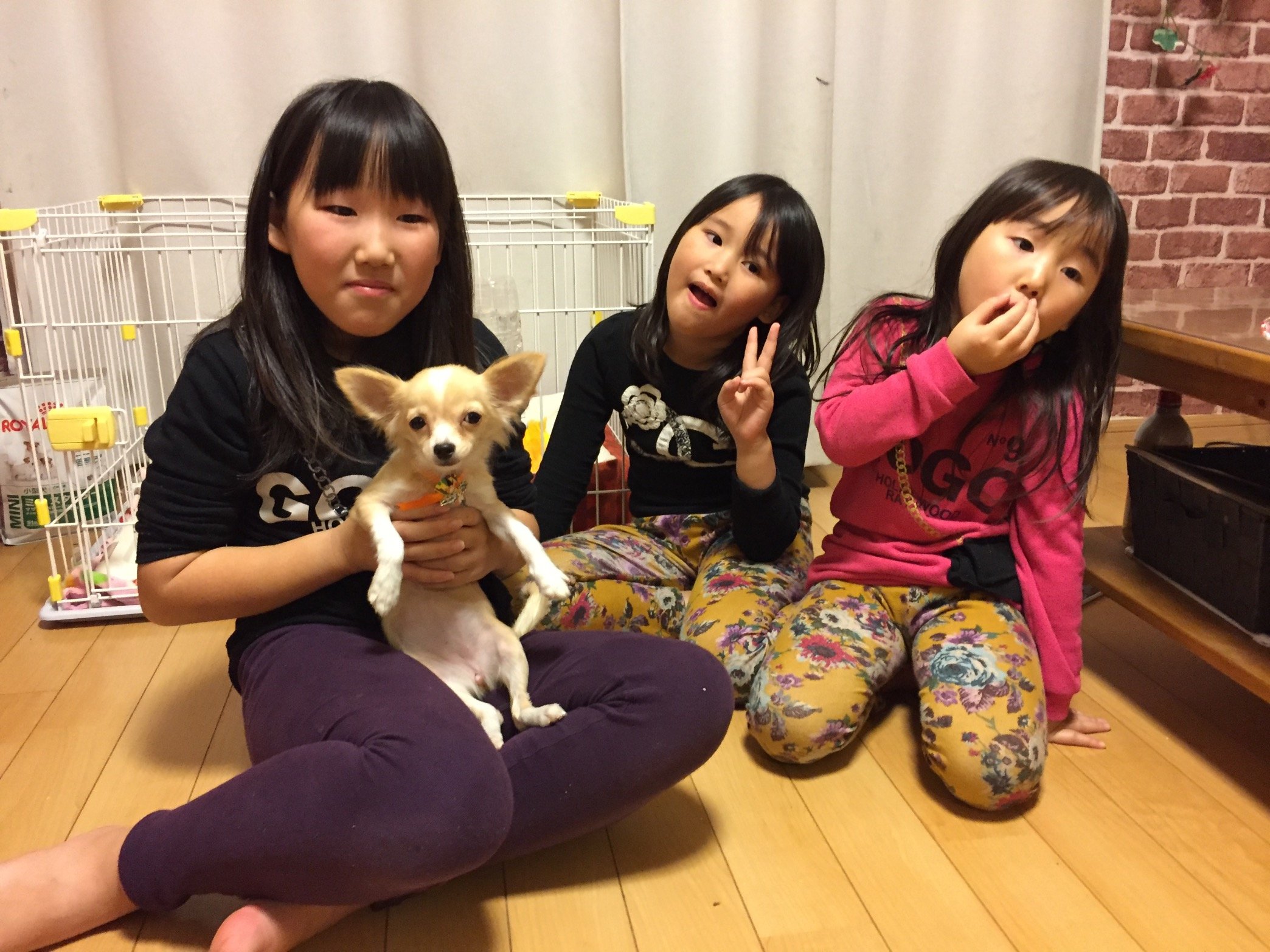 Enakimura Mika0665 Twitter