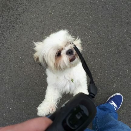 Martyboy13's profile picture. Not one original thought in my head