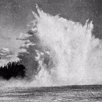 La Ola (@laolacine) 's Twitter Profile Photo