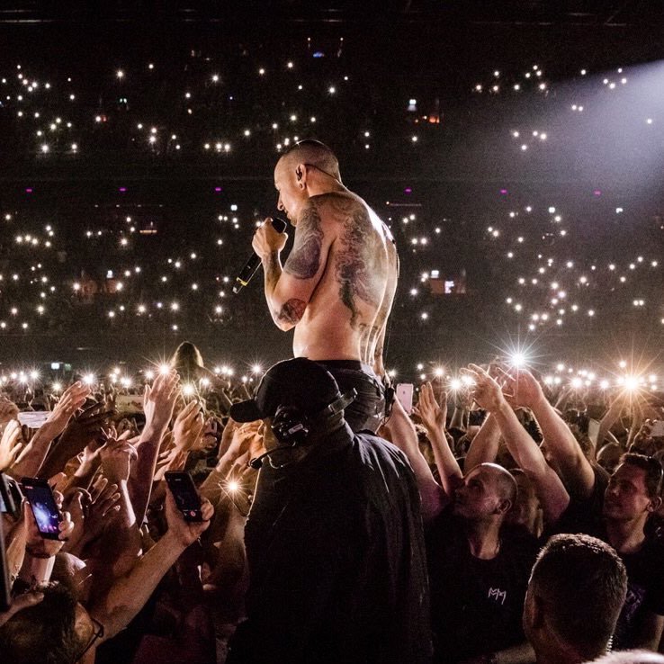 maximal_z's profile picture. 20.07.2017 RIP Chester.B