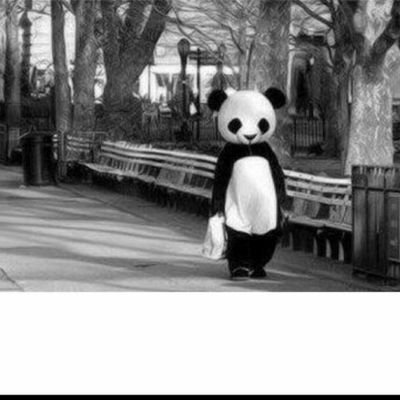 Shroog30066008's profile picture. 