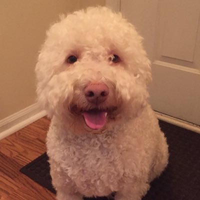 HBStokesES's profile picture. 