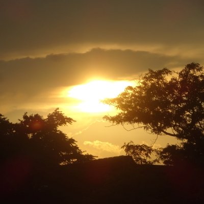 RKScrach's profile picture. 