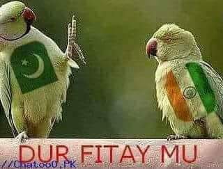 Iftikharharaj44's profile picture. Pak army