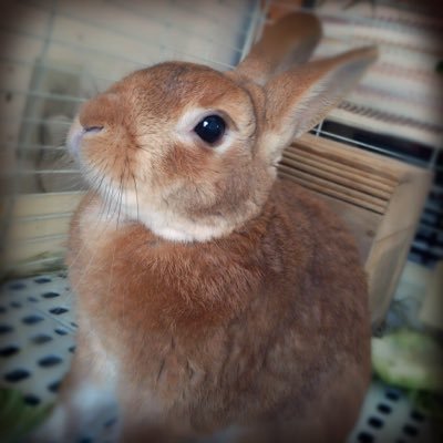 岐阜のタイヤショップ「いなり大垣」