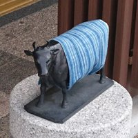 Prince (@mauloaohana) Twitter profile photo