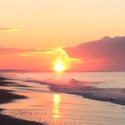 浜厚真(北海道)で小波に乗って🏖ファイターズ応援して⚾️温泉に入って♨️おいしぃぃ〜もの食べて😋 しましま猫3🌈♡ほゎほゎ犬１🌈♡みにみに犬１♡マルプー怪獣🦖1♡ 。。 波乗りダンナ１💦