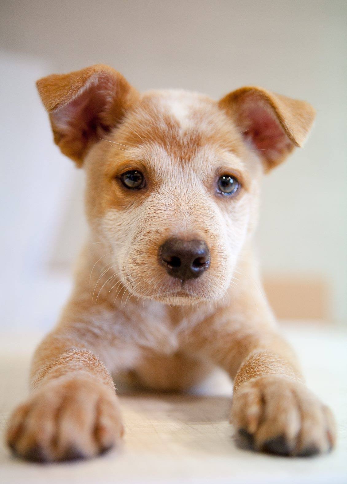 Loganayres3's profile picture. I'll smack you in a HQ