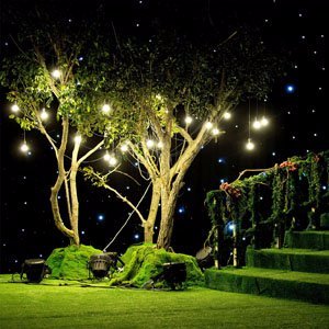 sokani_us's profile picture. soakni