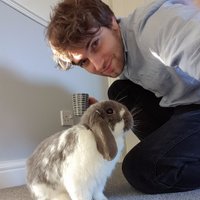 Matt Wilkinson (@mattwilkinsword) 's Twitter Profile