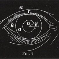 A.R.Kane (@infokane) 's Twitter Profile