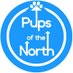 Pups Of The North (@pupsnorth) Twitter profile photo Pups Of The North (@pupsnorth) Twitter profile photo