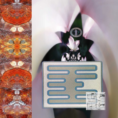 americansatori's profile picture. Cardiotonic Psychedelic Art. Embedded techno-animistic video stories. Working on: “The Illuminated Terence Mckenna”.