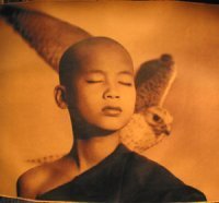 TheVikingIndian's profile picture. 'This is nonsense. 99.9% of the world knows it's nonsense. The emperor is naked. He might be wearing lipstick, but his balls are swinging in plain sight.'  JKR