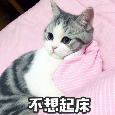 被窝さんのプロフィール画像