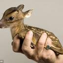 Tawanna White - @Tee1957 - Twitter